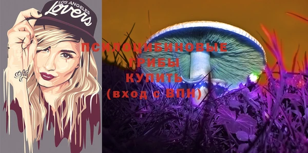 спиды Алзамай