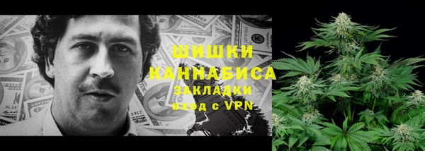 спиды Алзамай